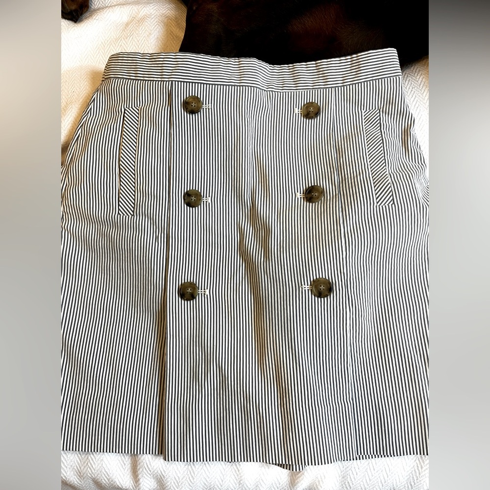 JCREW Striped Blue and White Nautical  Skirt